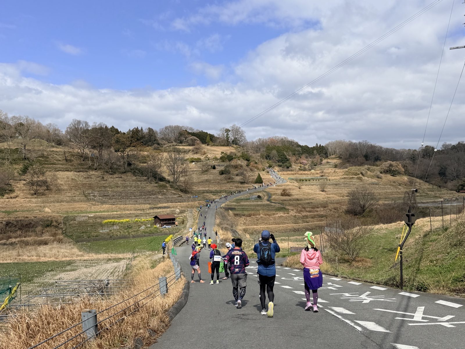 2026年の飛鳥ハーフマラソン。冬枯れの棚田のあいだを上っていく道に、ランナーの列が続く。道ばたには菜の花