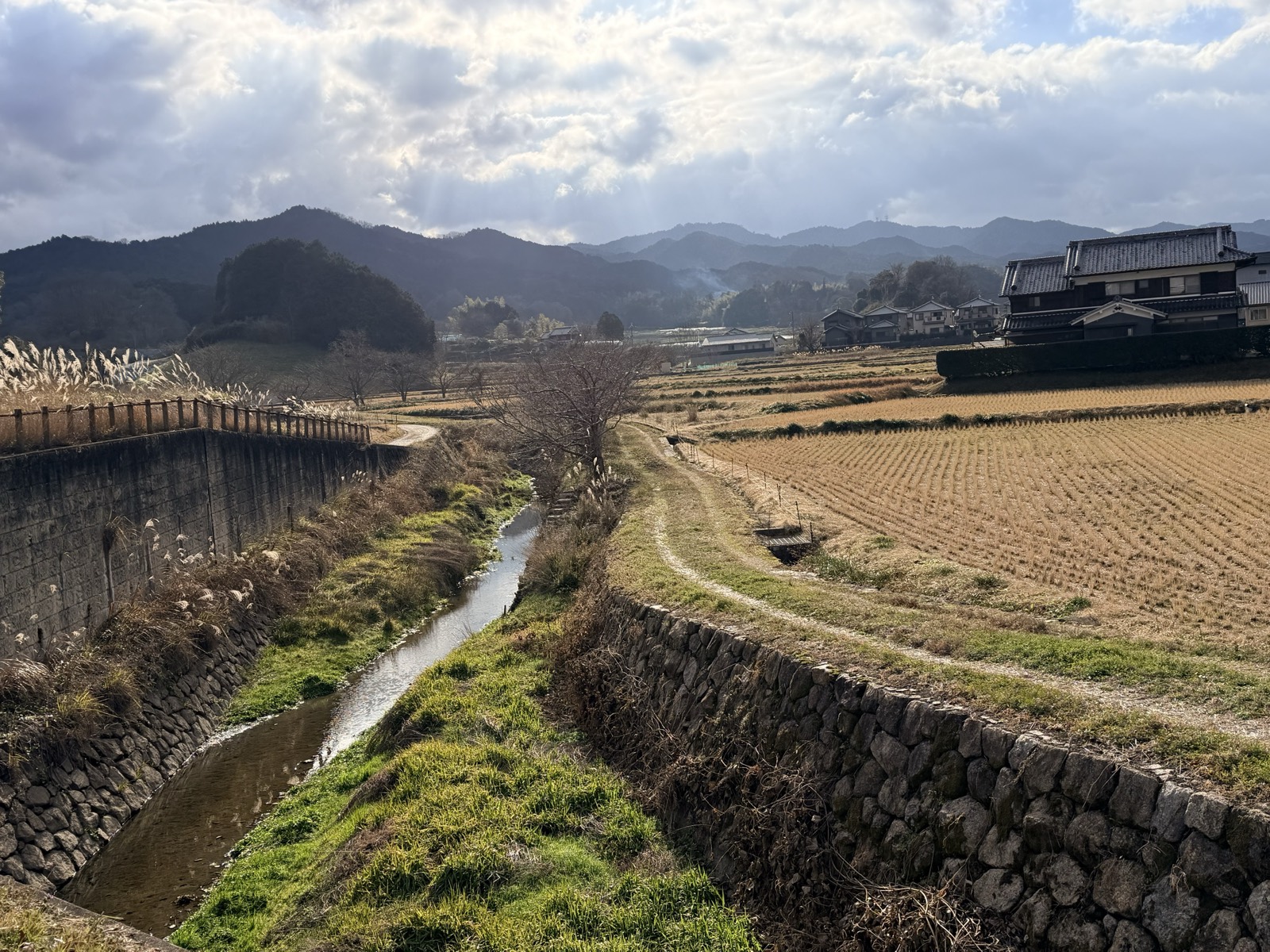 冬の明日香の里。用水路と刈り取りのすんだ田、奥に集落と山並み