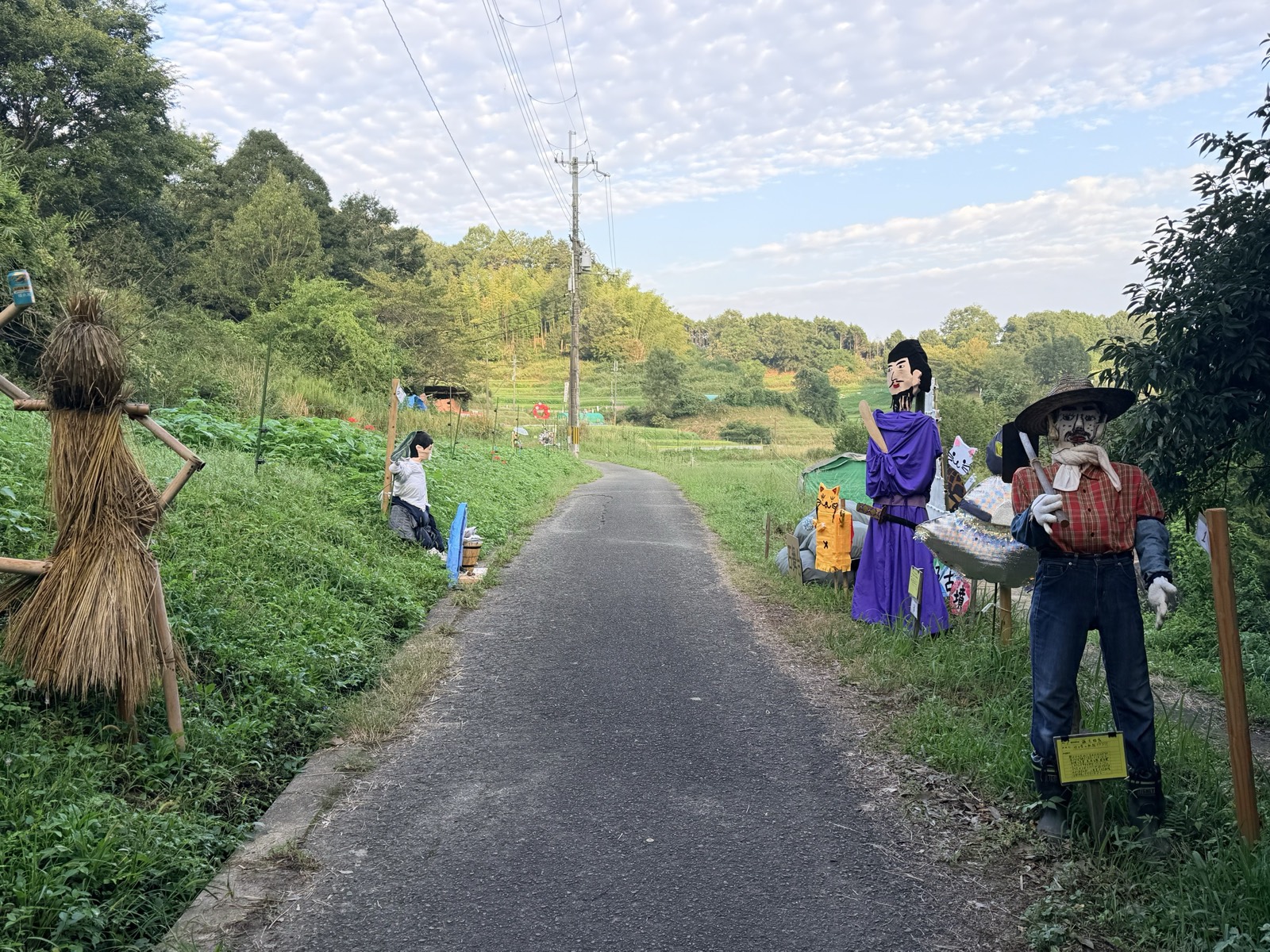 農道の両側に並ぶ案山子。紫の衣をまとった人物や、麦わら帽子に赤いチェックシャツの案山子が立つ