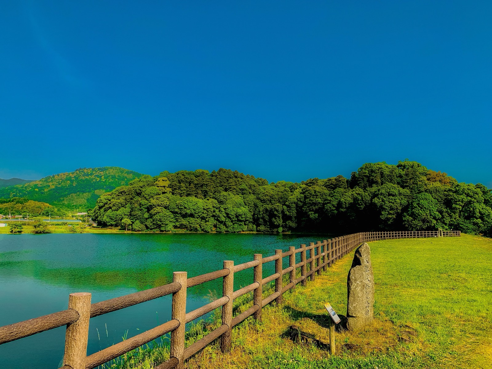 水をたたえた池の向こうに、木におおわれた箸墓古墳の墳丘