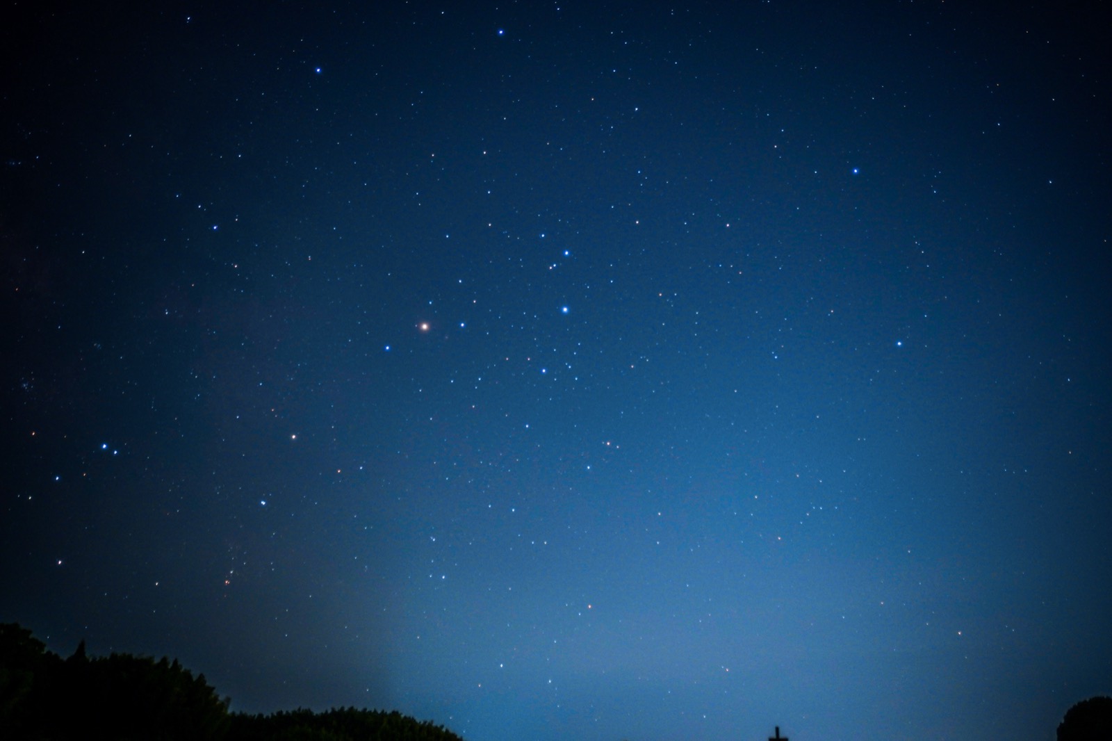 一面に星が散る冬の夜空。中ほどに赤いアルデバランが光り、左下に木立のシルエット