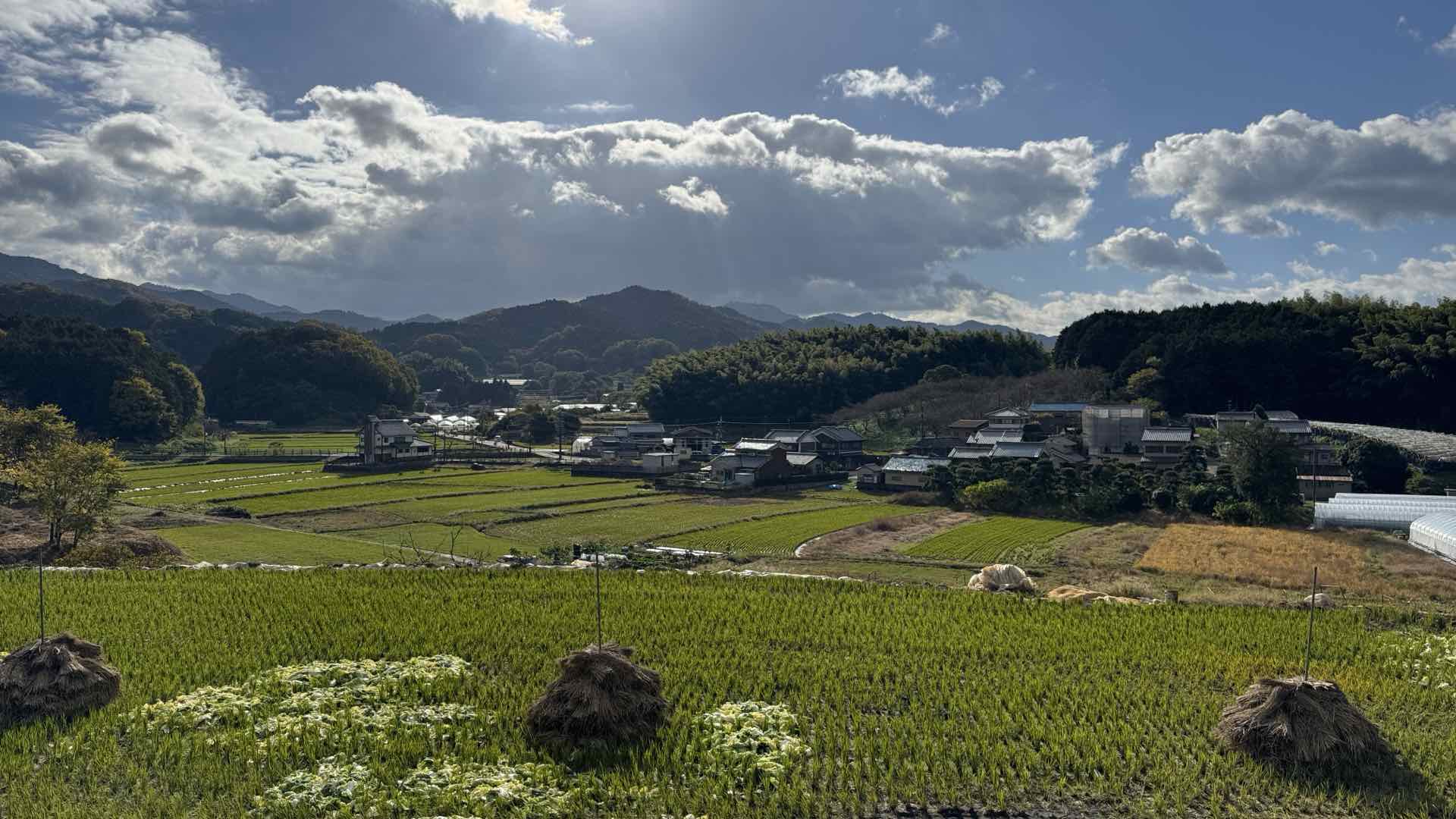 秋の刈り入れを終えた明日香の田と集落