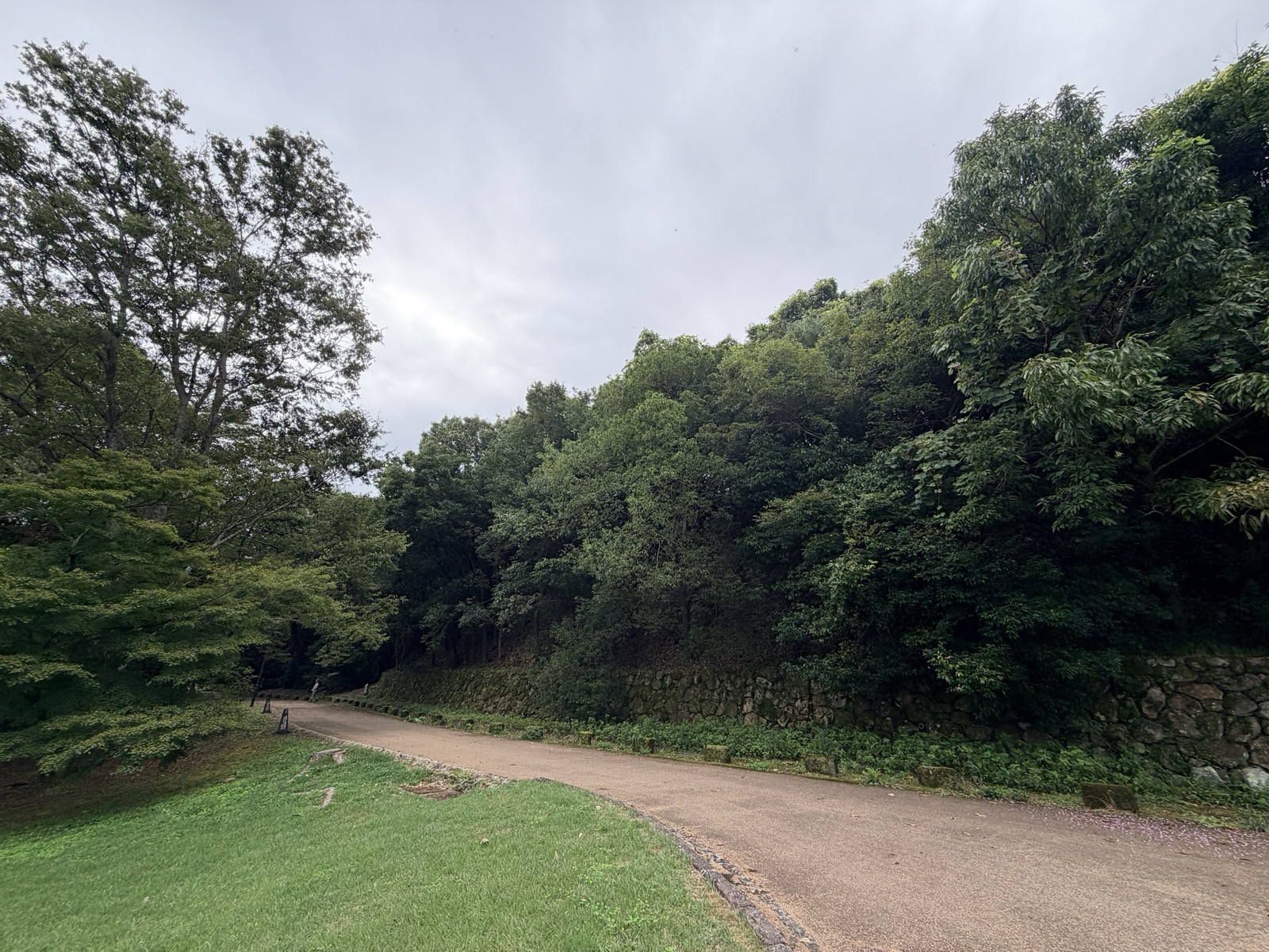 甘樫丘の園路。石垣ぞいの道が、うっそうとした木立のなかへ続く