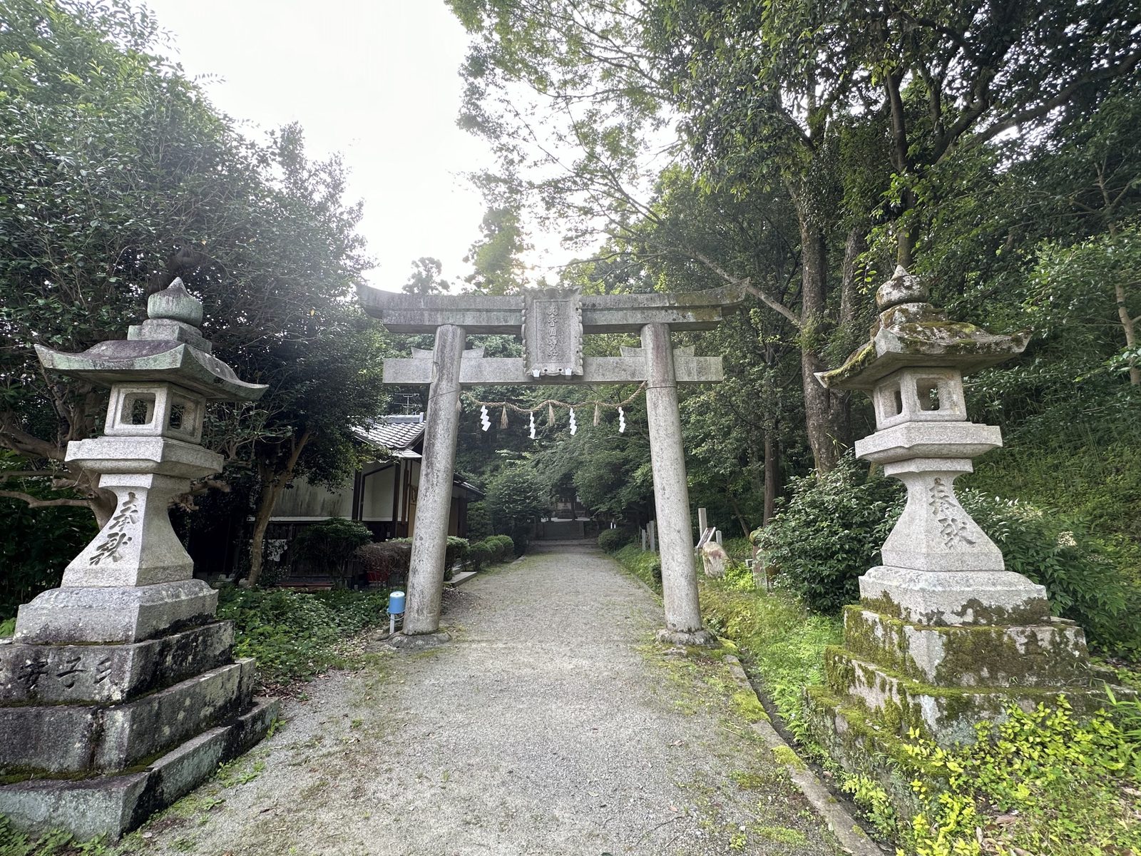 一対の石灯籠のあいだに立つ鳥居と、緑の木立へ延びる参道