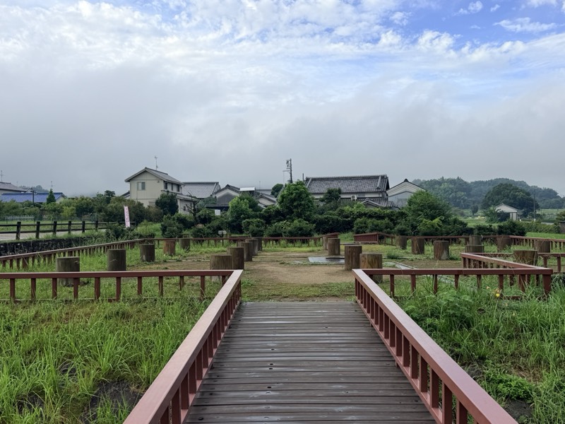 飛鳥水落遺跡の全景。木道の先に、建物の柱の位置を示す円柱が方形に並ぶ