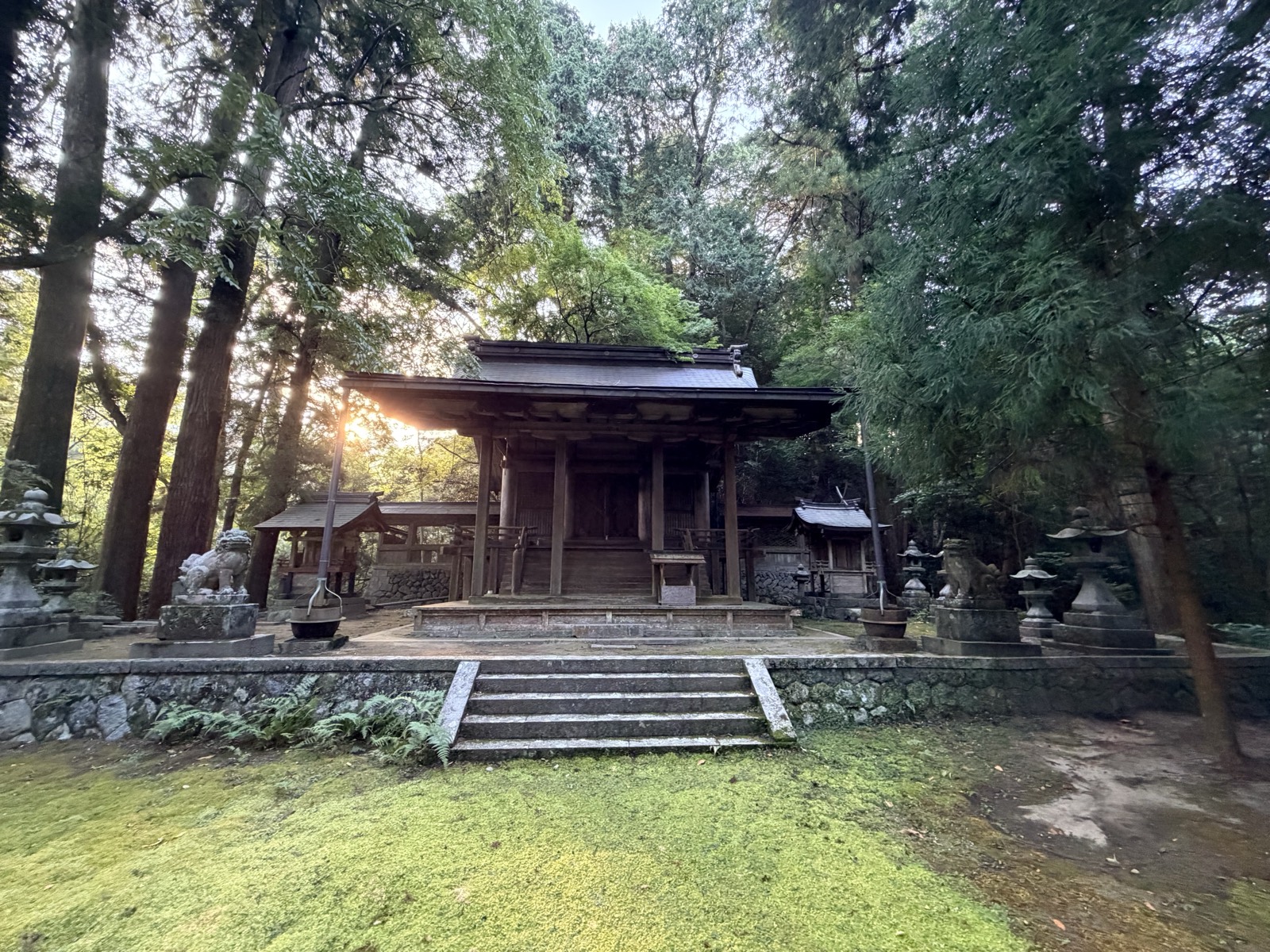 杉木立と苔に囲まれた飛鳥川上坐宇須多伎比売命神社の社殿