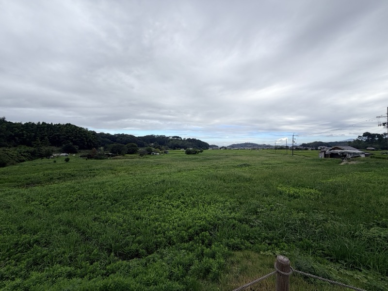飛鳥京跡苑池の一帯。いまは一面の草地で、左手に木立の丘、奥に集落が見える