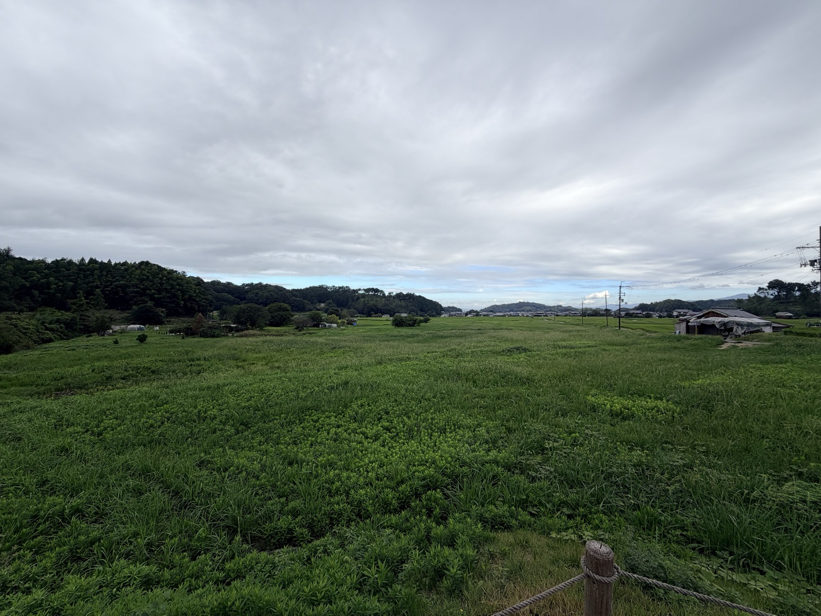 飛鳥京跡苑池の一帯。いまは一面の草地で、左手に木立の丘、奥に集落が見える