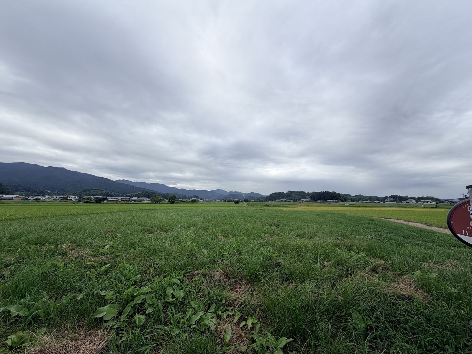 大官大寺跡の一帯。いまは一面の水田で、奥に山並みが連なる