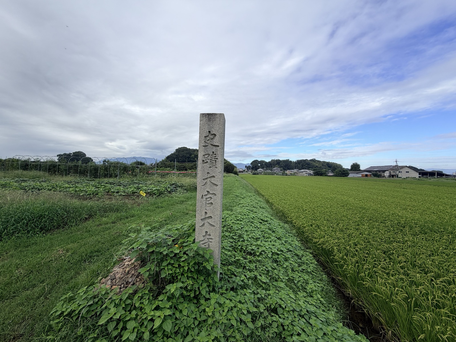畑と水田のあいだに立つ「史蹟 大官大寺」の石柱