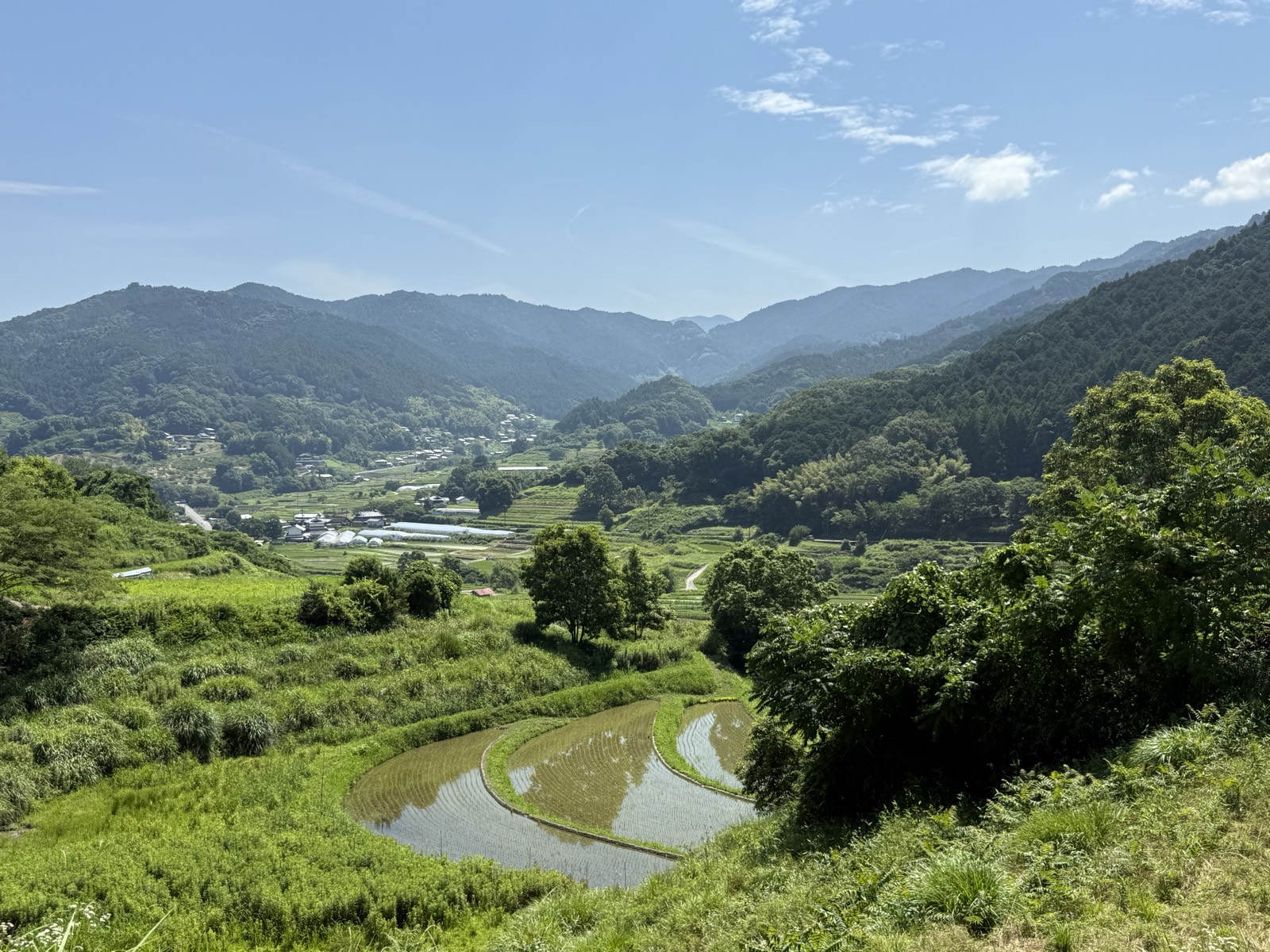 初夏の稲渕の棚田。水を張った段々の田と、谷の奥に続く集落と山並み