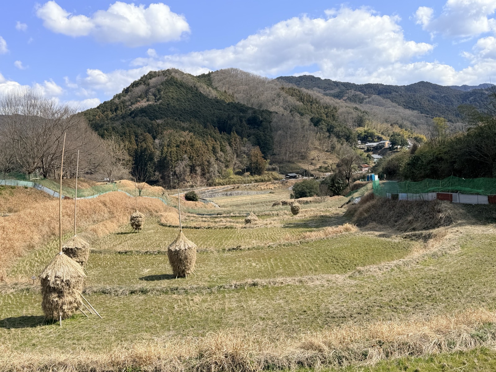 冬の稲渕の棚田。刈り取りのあとに稲わらを積んだ「にお」が並ぶ
