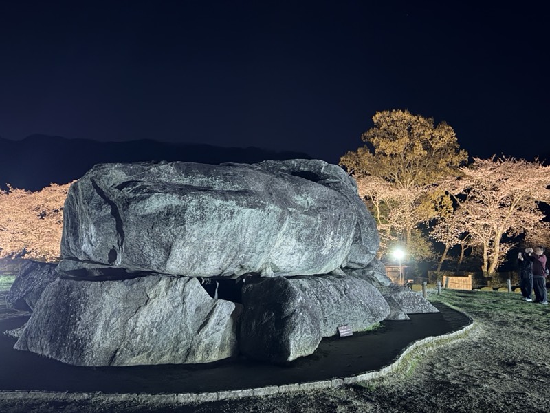 夜間ライトアップされた石舞台古墳と、まわりの満開の桜