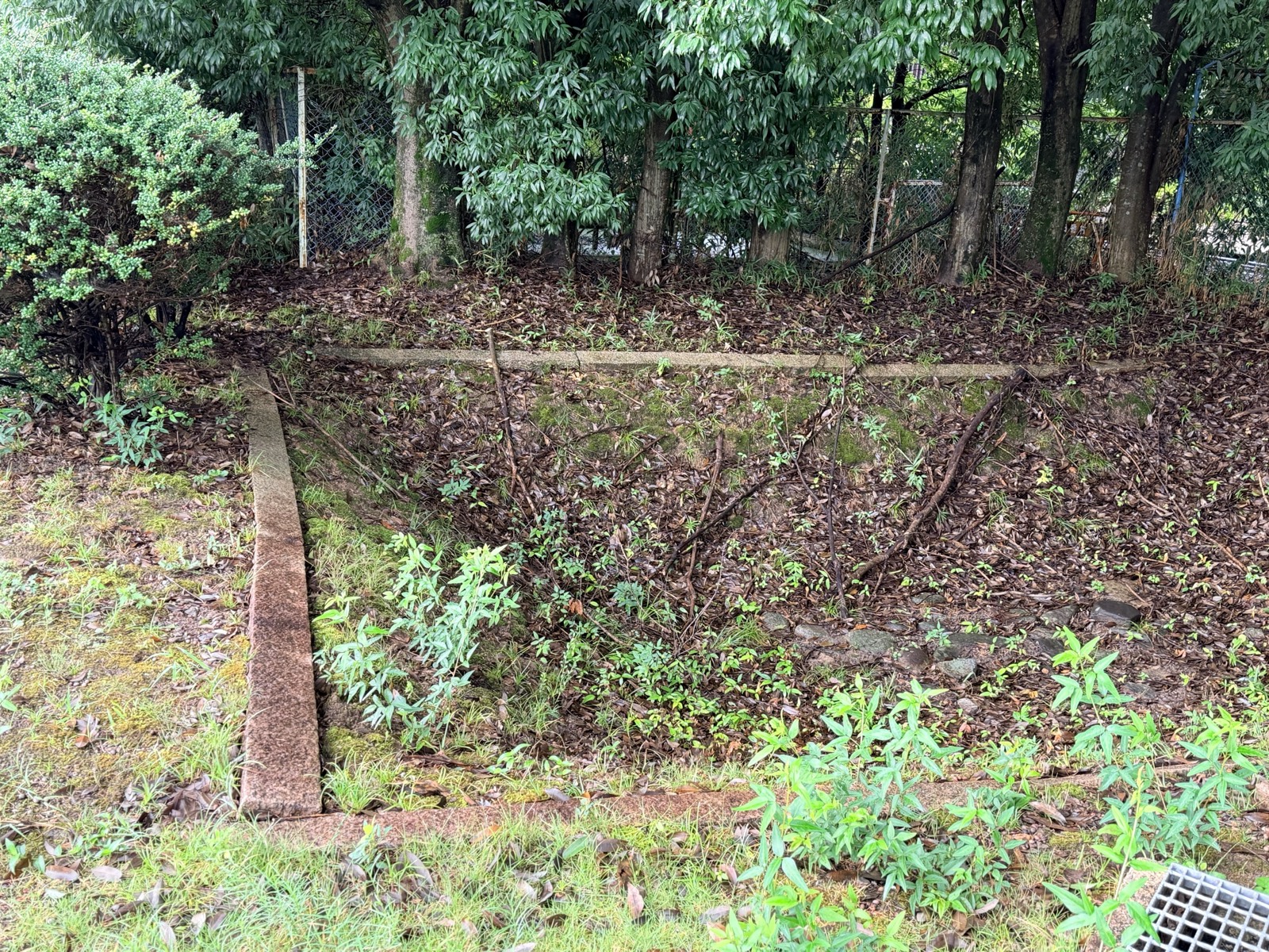 遺構の位置を示す石の縁取り。落ち葉に覆われた区画が残る