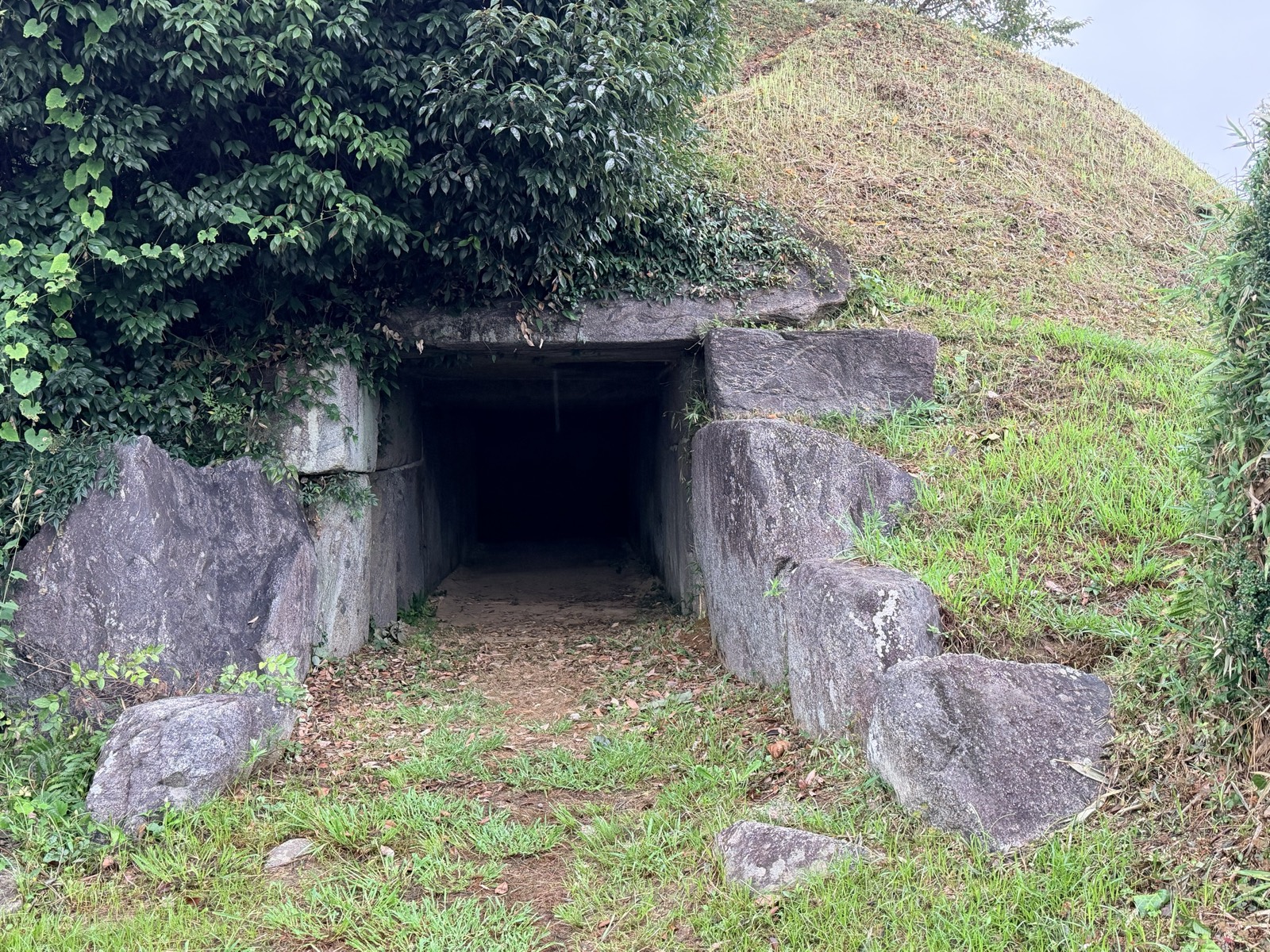 南に開口する岩屋山古墳の横穴式石室。切石を積んだ入口と、草に覆われた墳丘