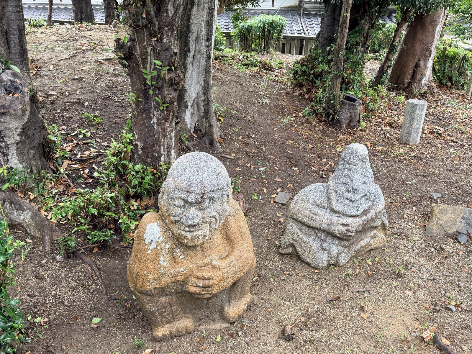 吉備姫王墓の柵の中に並ぶ猿石。手前は顔にしわを刻んだ「山王権現」、奥は帽子をかぶったような「僧」