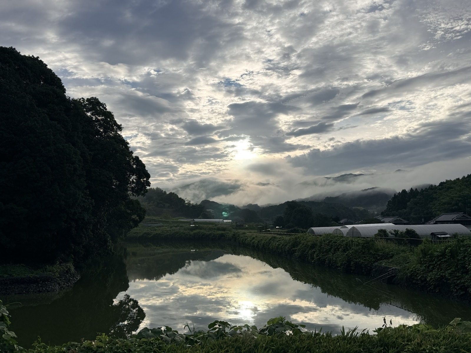 朝の欽明天皇陵の濠。水面に雲が映り、奥の山あいには雲海がかかる