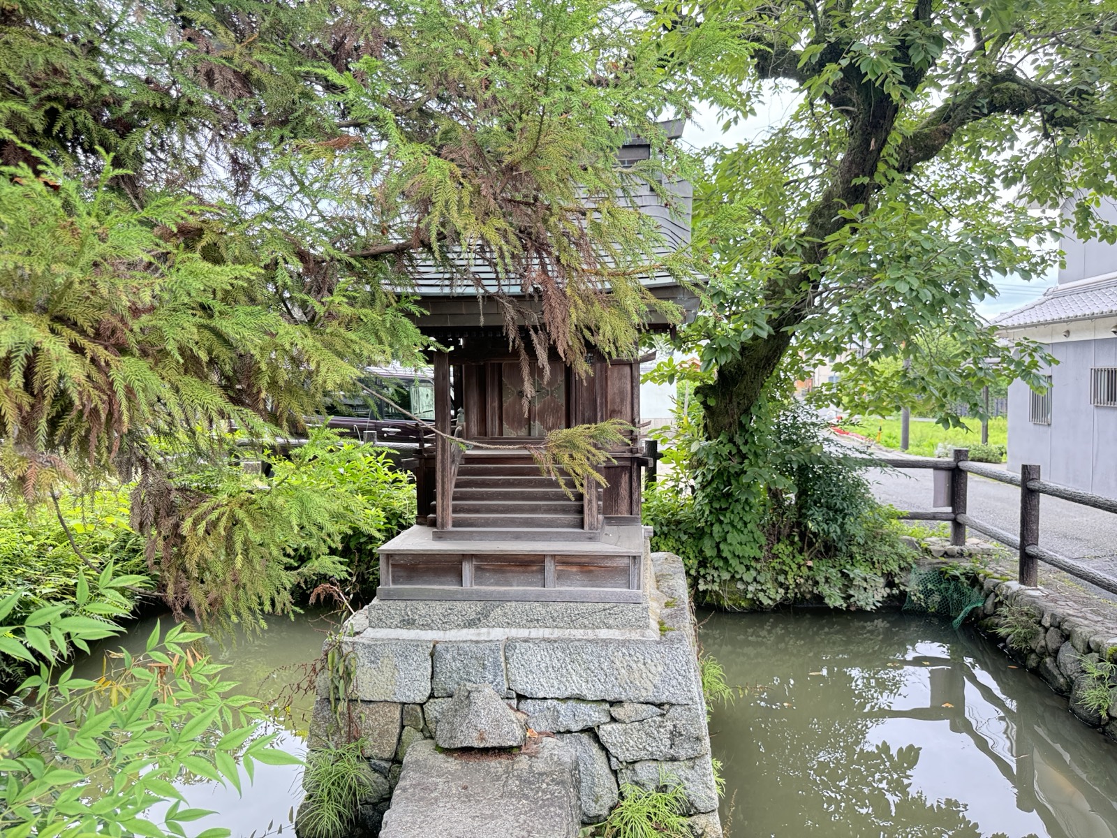向原寺の一角にある難波池。池の中の小さな祠へ石橋が架かる