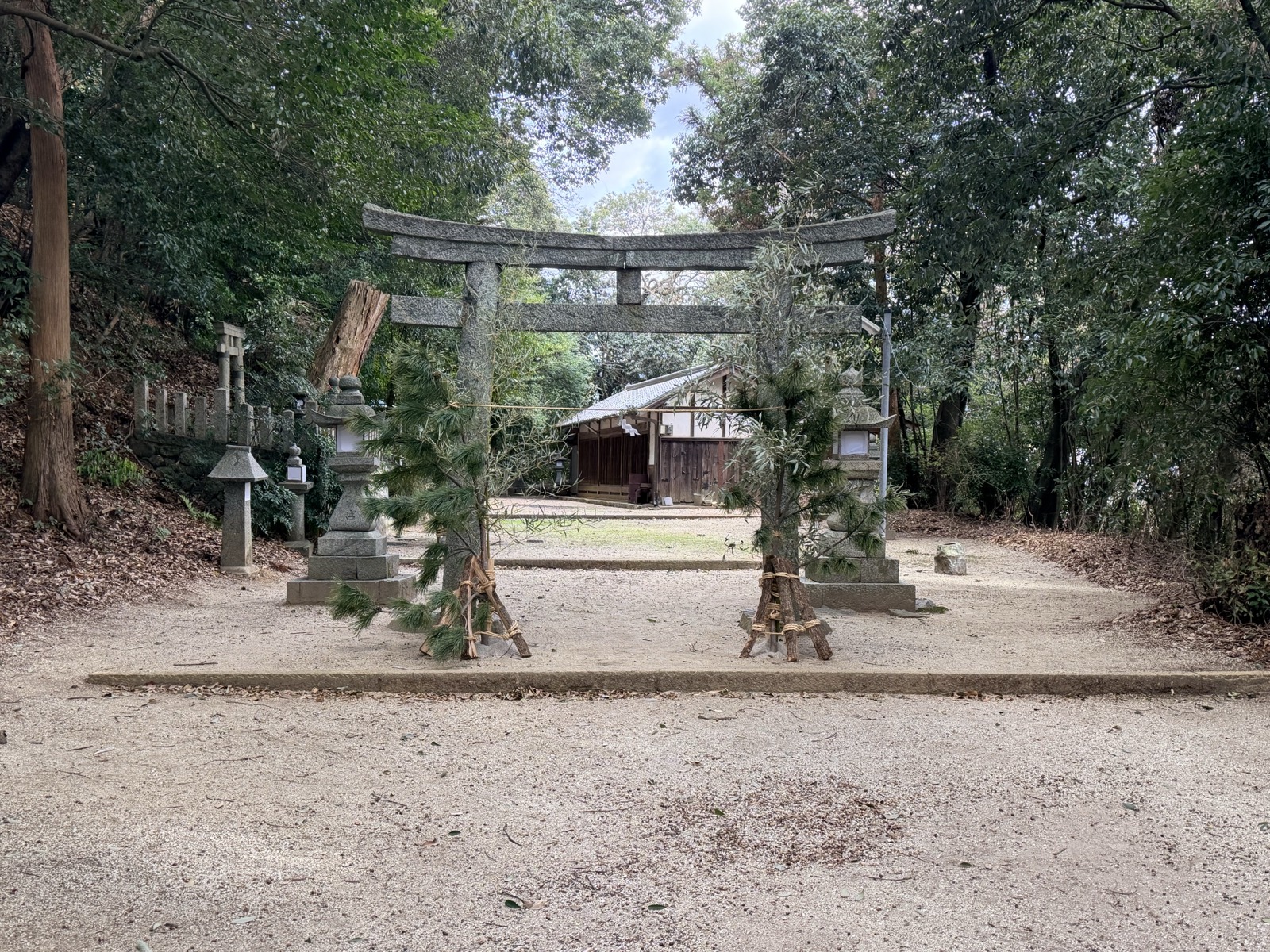 正月の松が結わえられた櫛玉命神社の石鳥居。奥に拝殿が見える