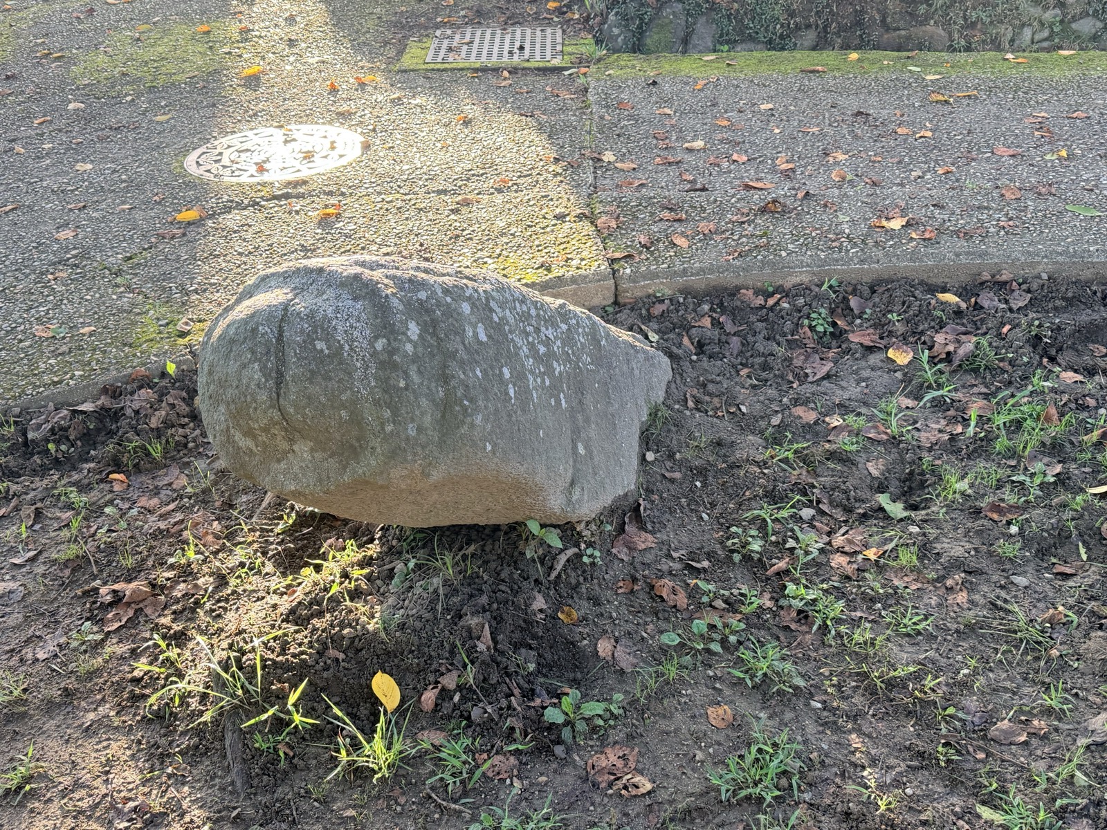 マラ石を斜め上から見たところ。先端が丸く、その下に溝が一周している