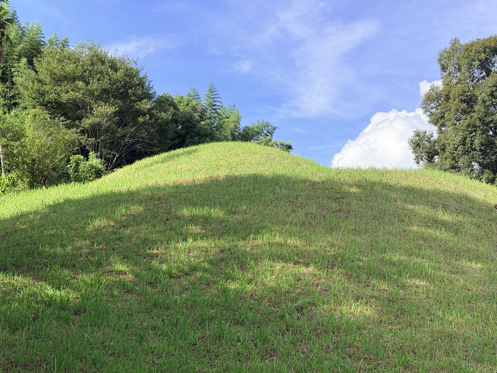 マルコ山古墳の墳丘を下から見上げる。芝に覆われた丘と、夏の青空
