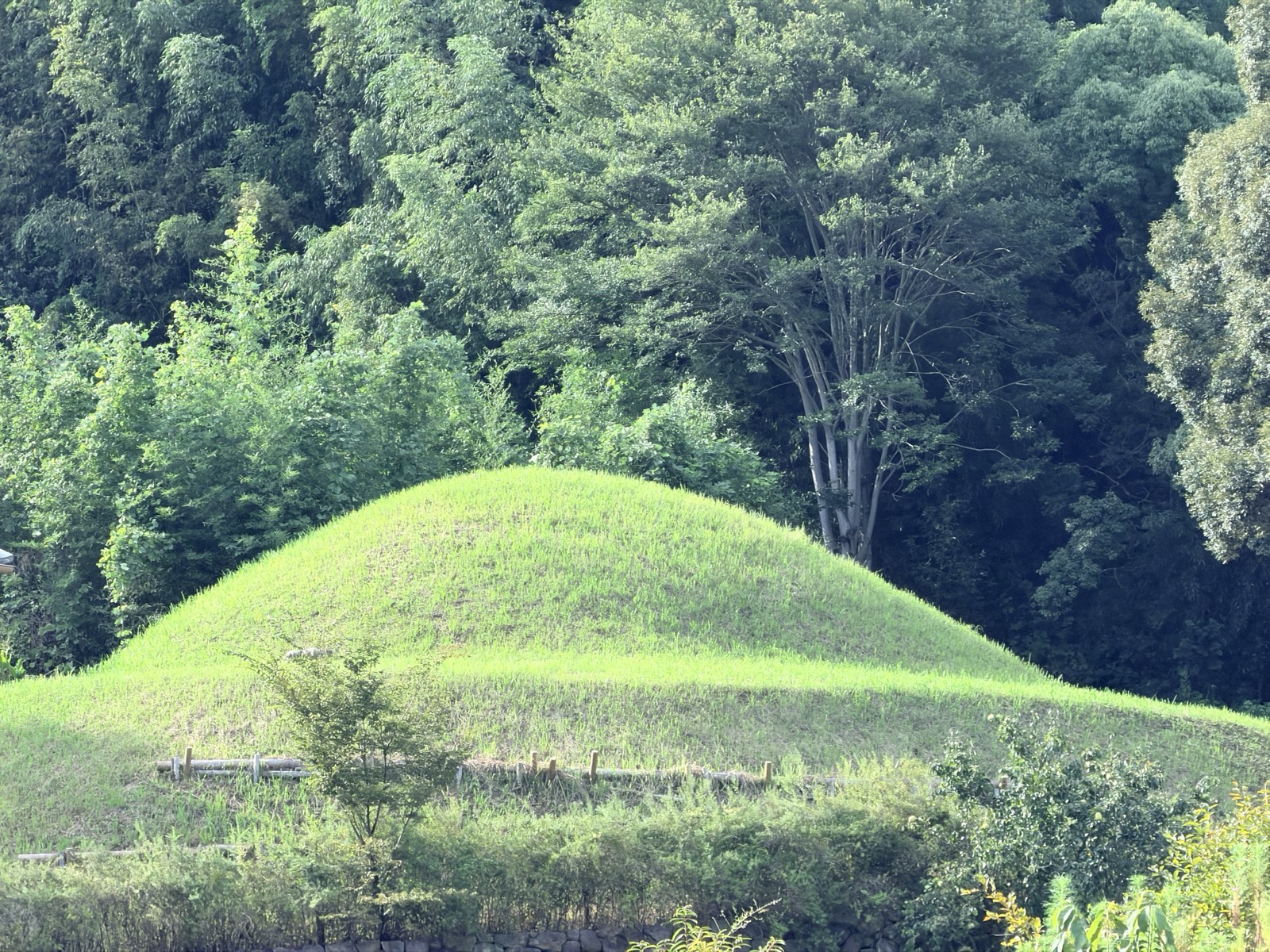 マルコ山古墳の墳丘。柵の向こうに芝の斜面が続く