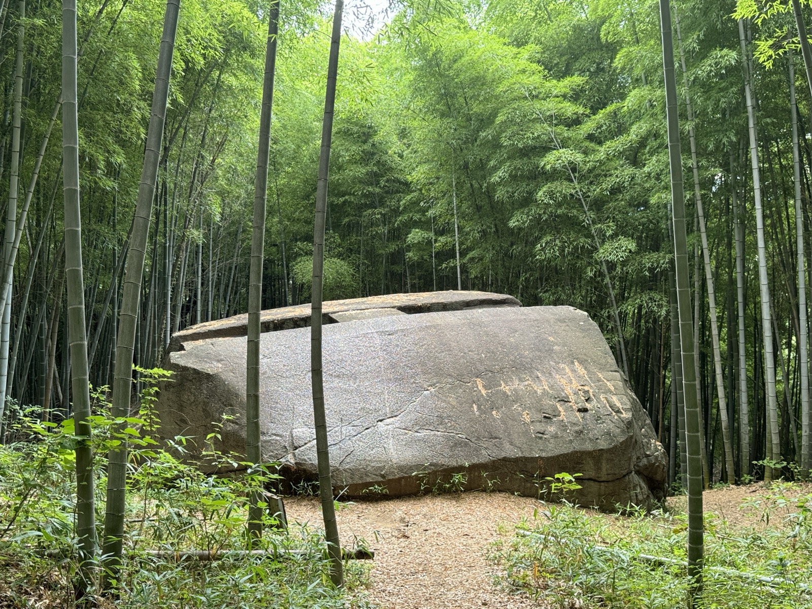 竹林のなかに横たわる益田岩船。上面に四角い穴が並ぶ