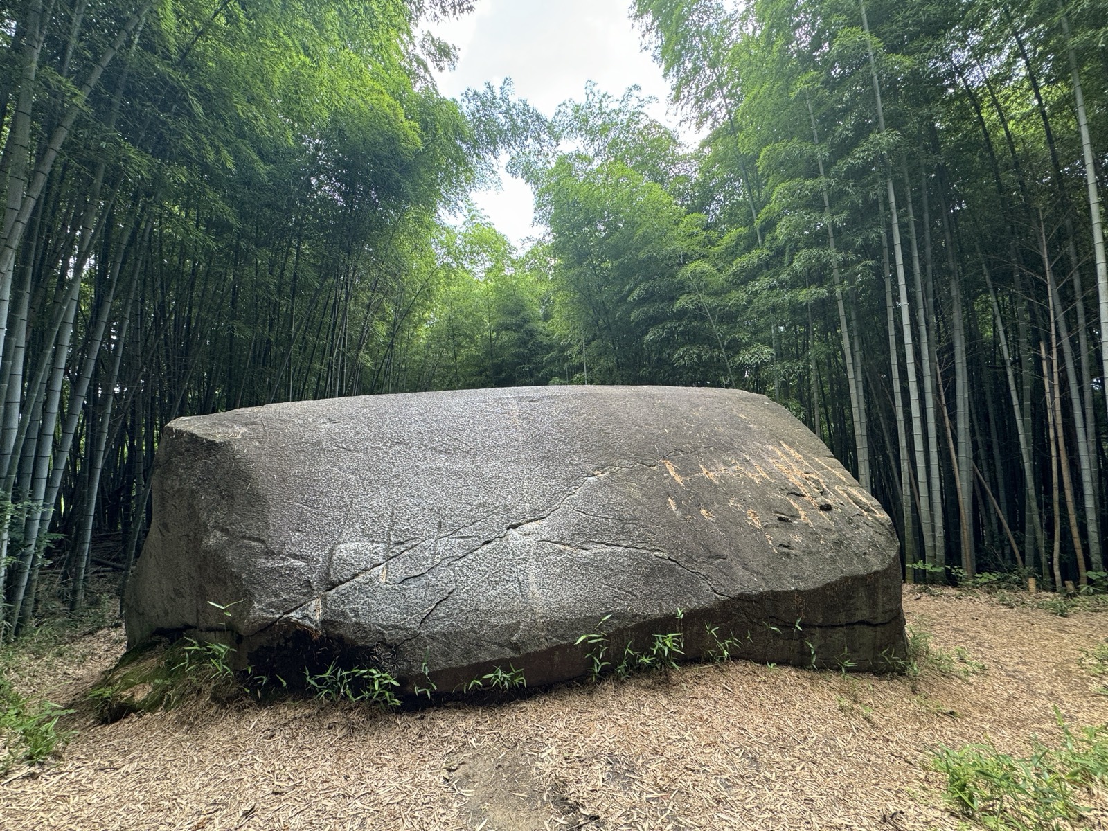 正面から見た益田岩船の全景。竹林に囲まれている