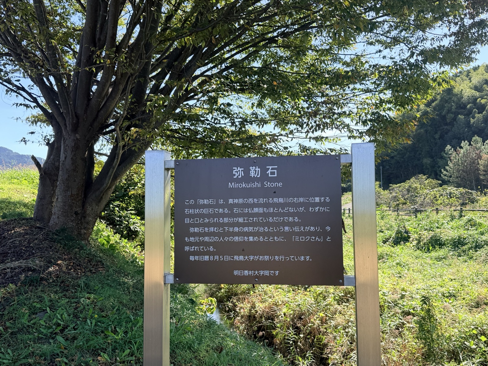 弥勒石のかたわらに立つ明日香村の説明板。後ろに大きな木と飛鳥川の土手