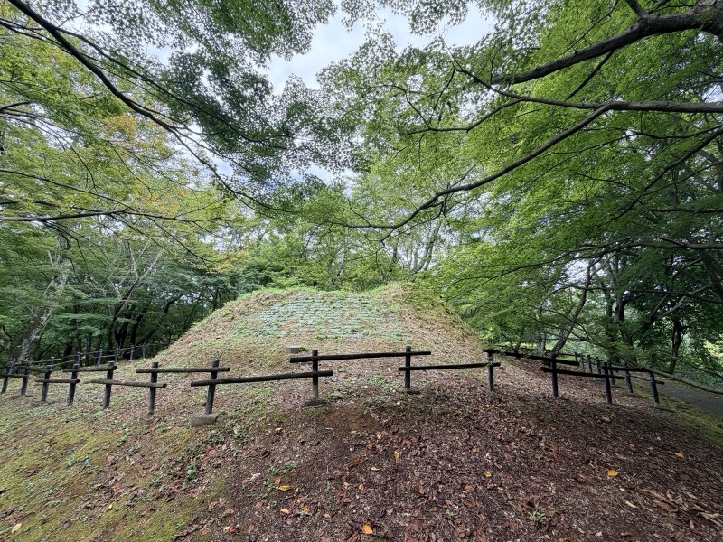 木立に囲まれた中尾山古墳の墳丘。手前に木の柵がめぐらされている