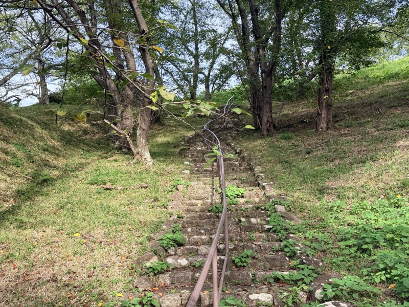 新沢千塚古墳群の墳丘のあいだを登っていく石段。両側の斜面に木立が立つ