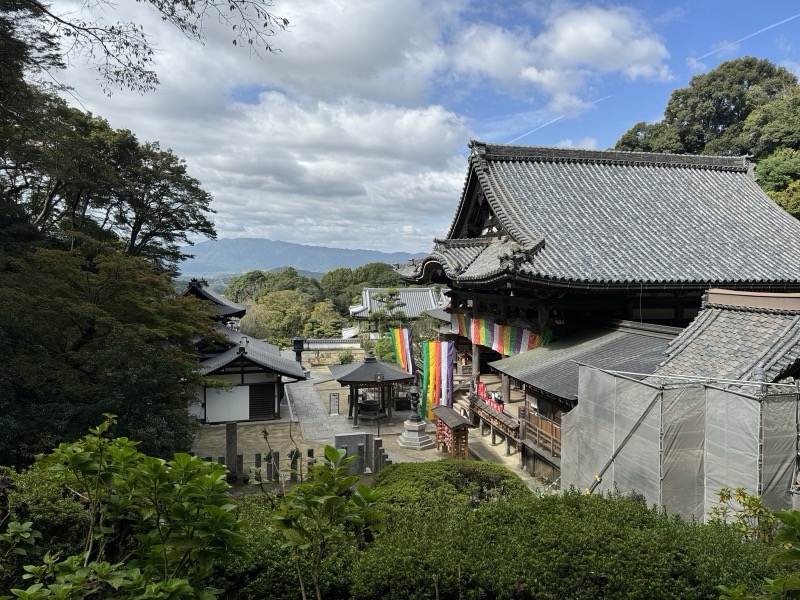 高いところから見下ろした岡寺の境内。本堂に五色幕がかかり、奥に山並みが続く