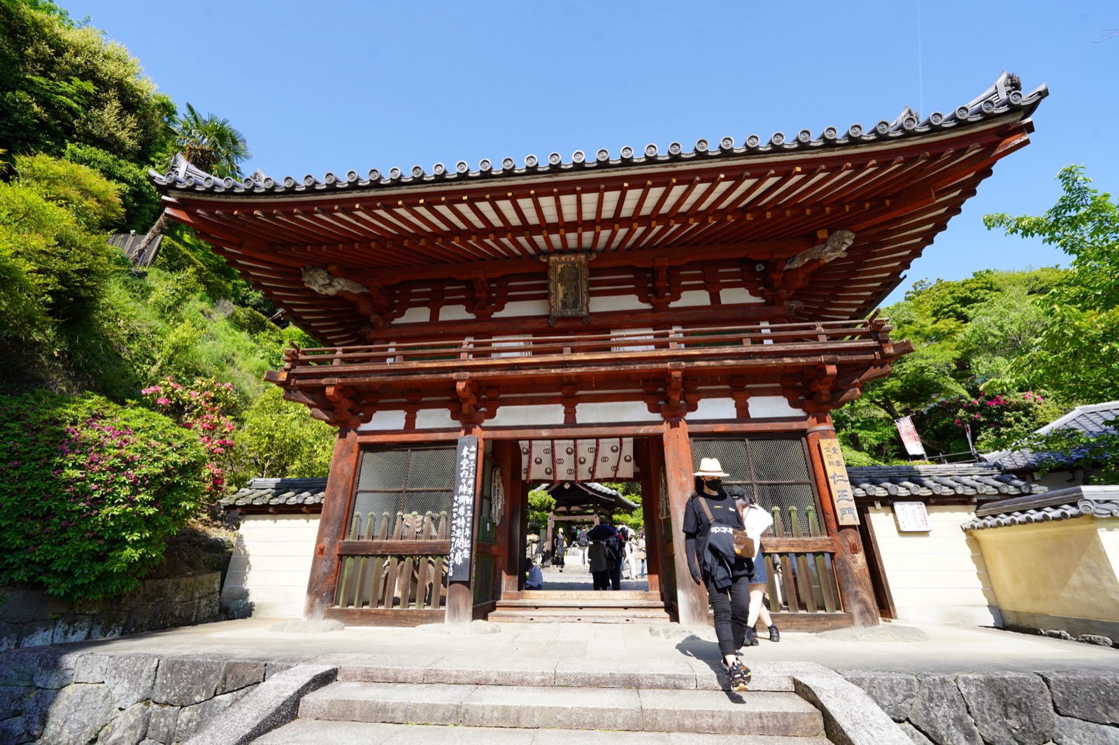 岡寺の仁王門。朱塗りの柱と大きく反った屋根。まわりにツツジが咲く