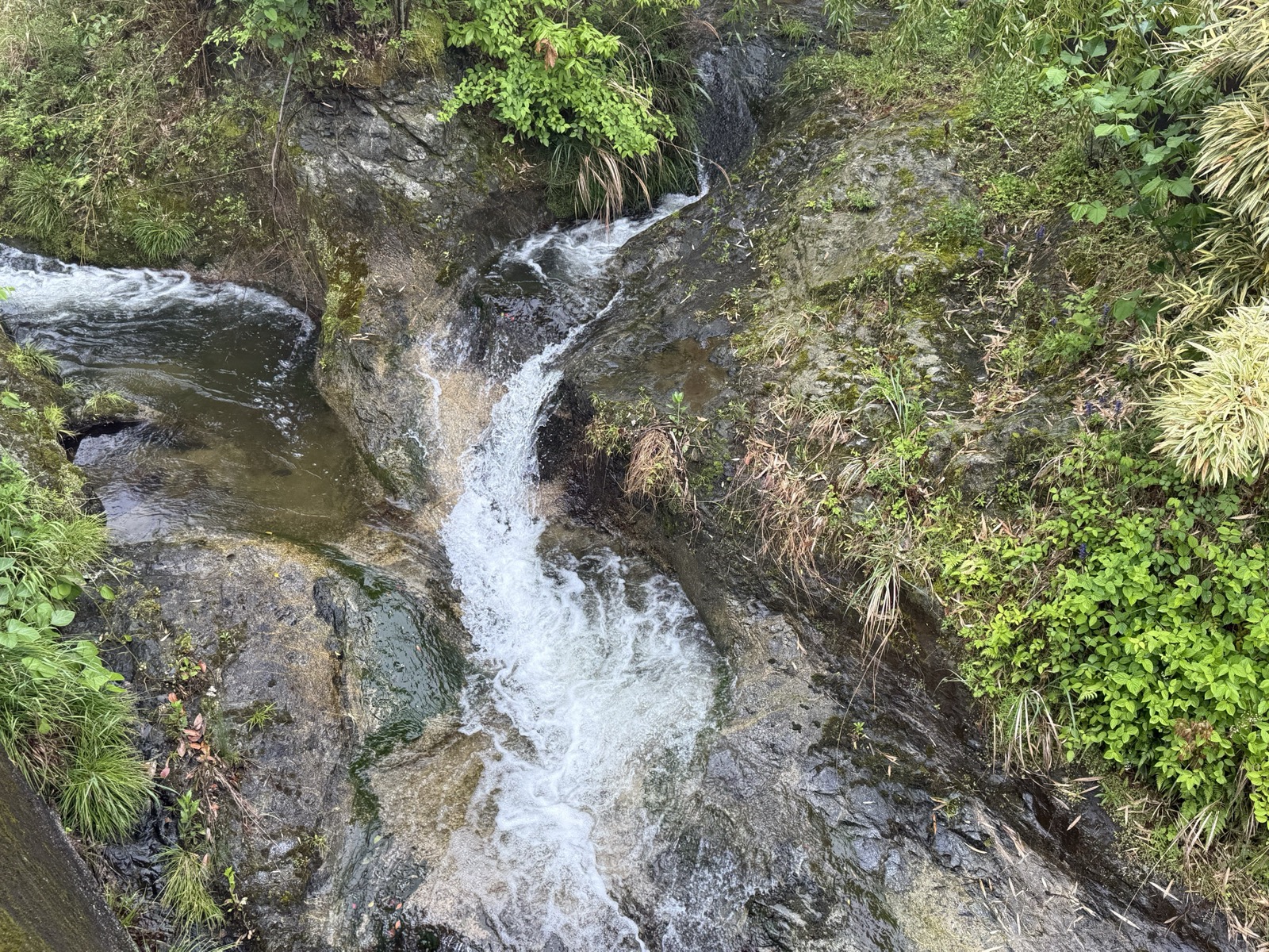 岩盤の上を白く跳ねながら流れ落ちる水。奥飛鳥の渓流