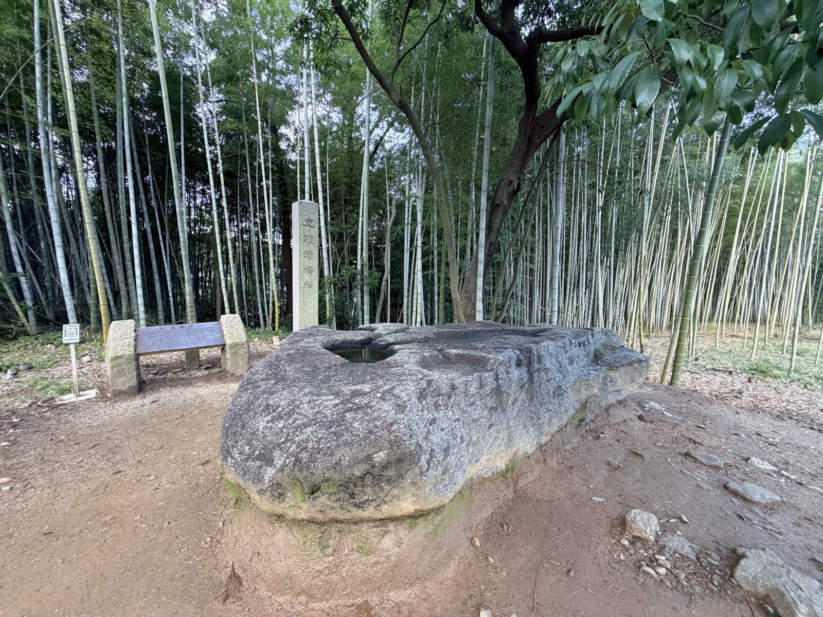 竹林のなかに横たわる酒船石。奥に「史蹟 酒船石」の石柱と説明板