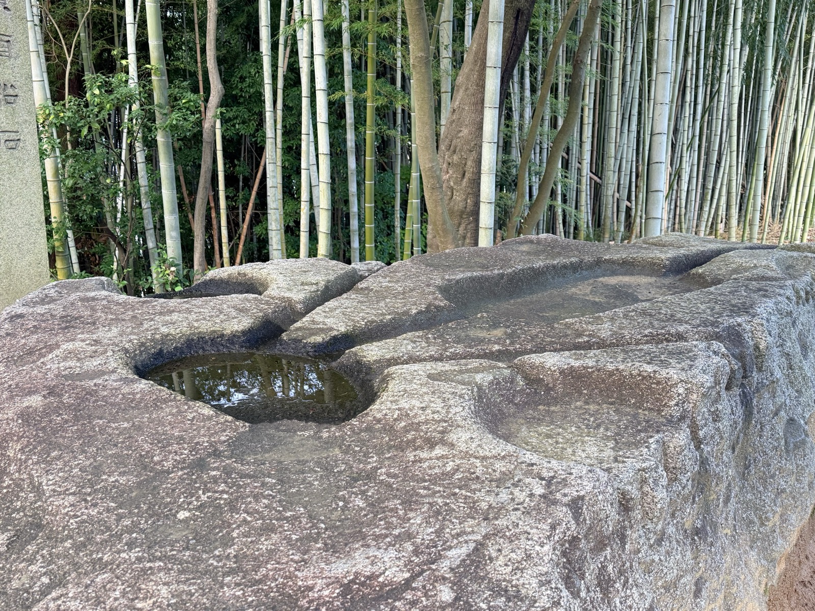 酒船石のくぼみと溝を近くから見る。水をたたえたくぼみから溝が伸びる