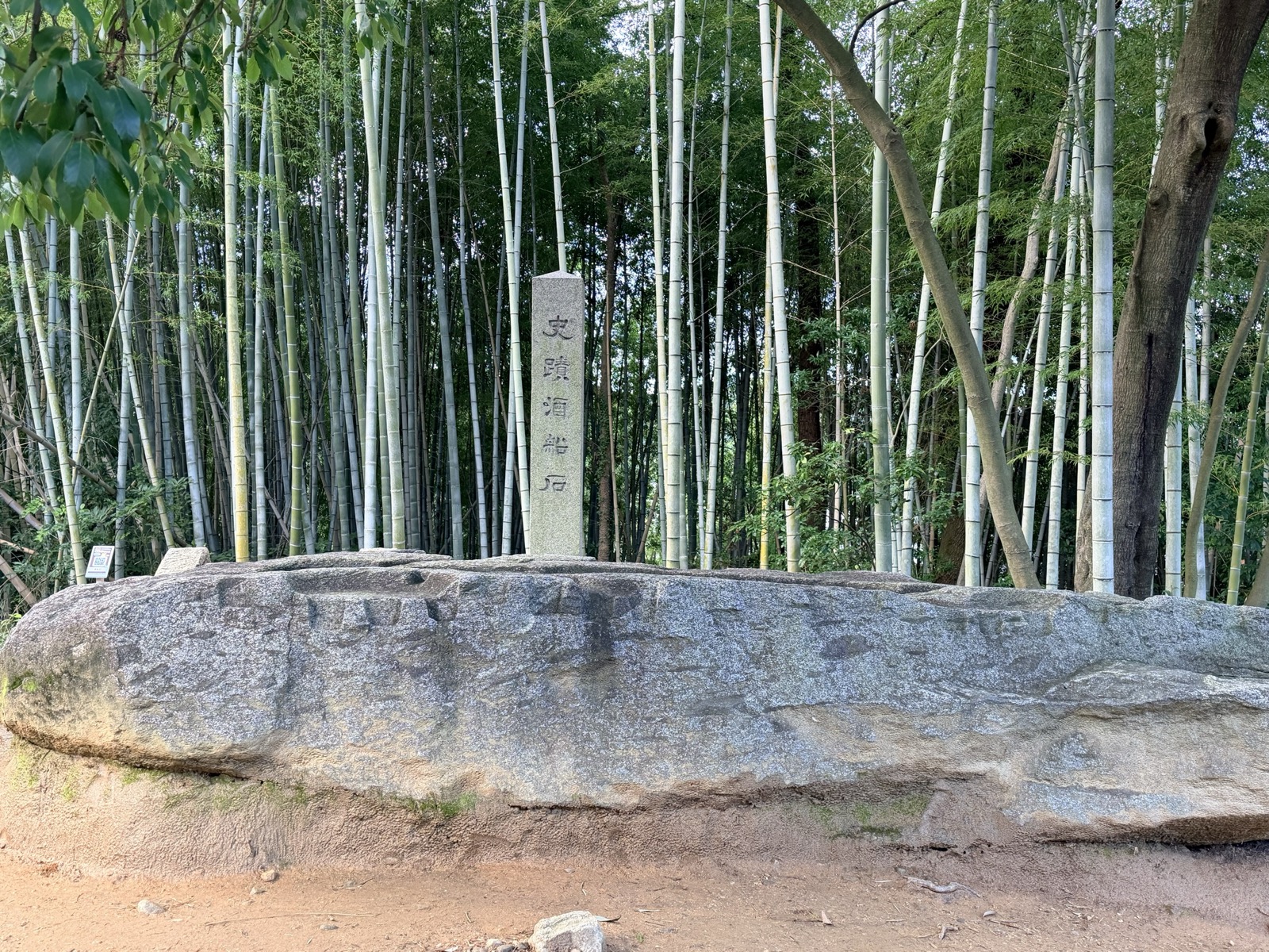横から見た酒船石。竹林を背に、平らな花崗岩が地面から現れている