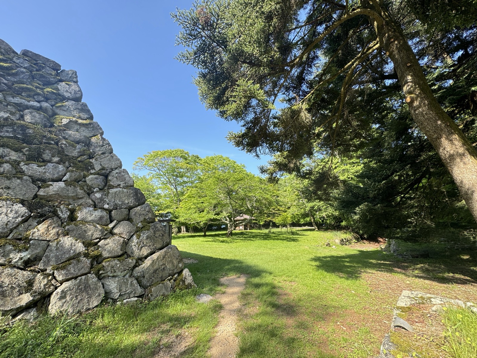 高取城跡の石垣と、その奥に広がる芝の平地と木立