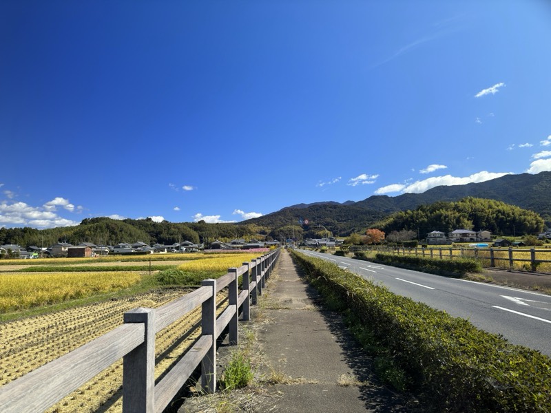 刈り取りの終わった田のあいだをまっすぐのびる道。右手は県道、奥に集落と山並みが見える