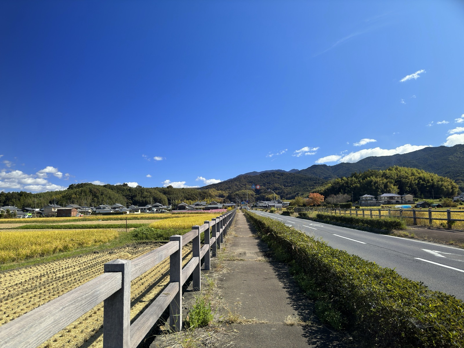 刈り取りの終わった田のあいだをまっすぐのびる道。右手は県道、奥に集落と山並みが見える