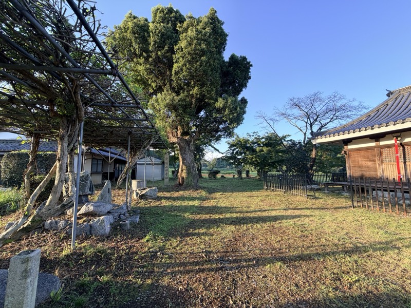 山田寺跡の境内。藤棚と大きな樹、史跡の石標が並び、右手に堂が建つ