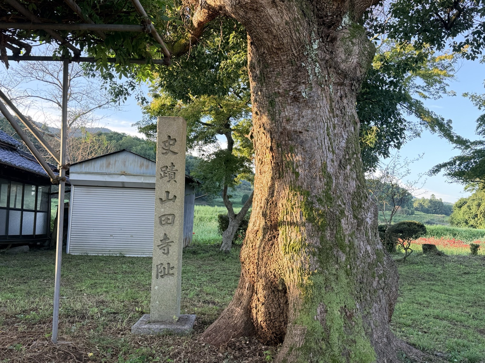 史蹟山田寺阯と刻まれた石標。傍らに幹の太い樹が立つ