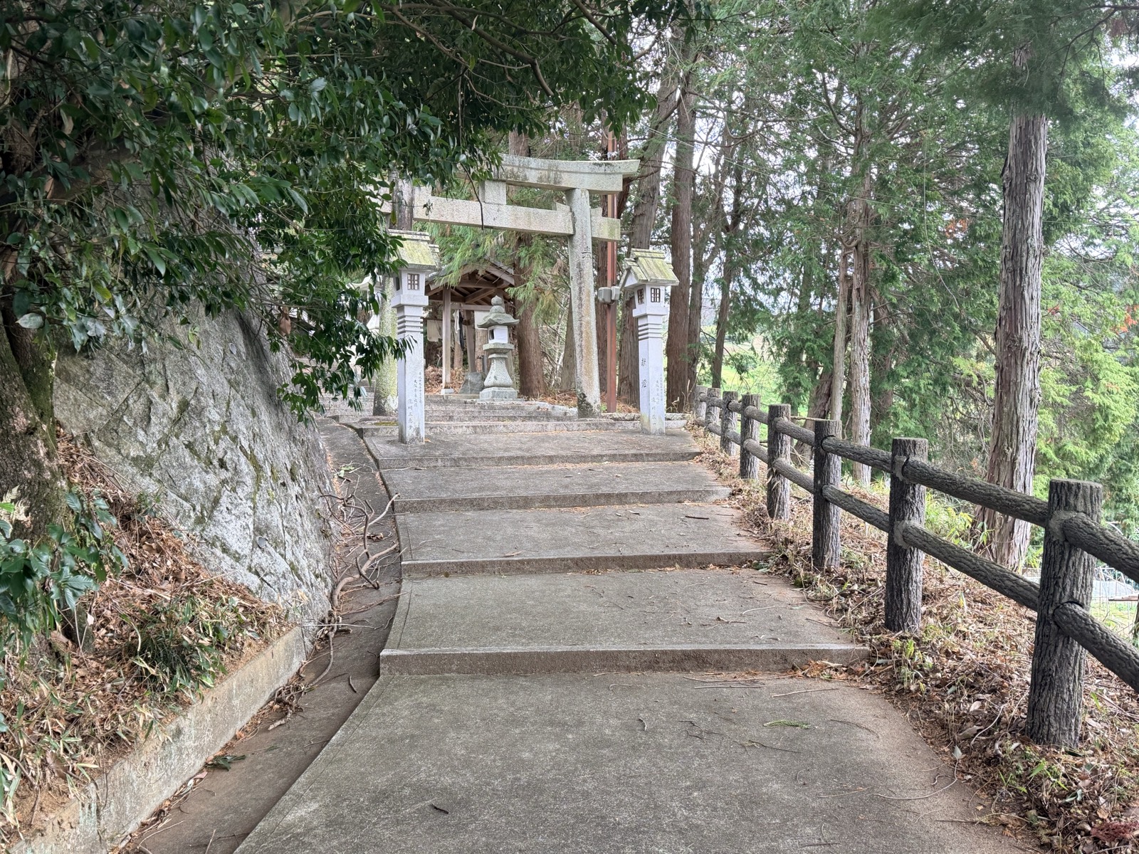 杉木立のなかを上がる八坂神社の参道と鳥居