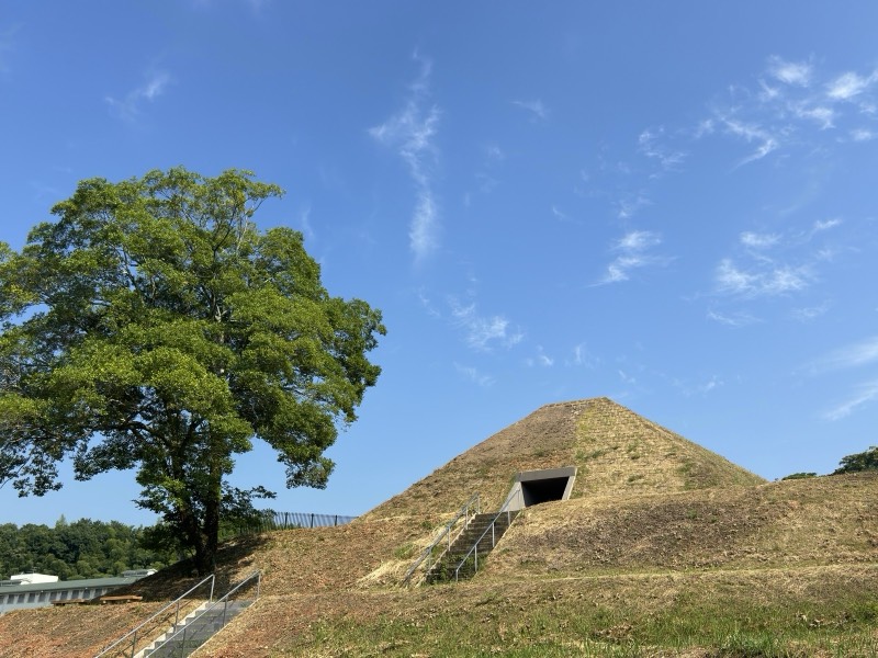 草に覆われた与楽カンジョ古墳の墳丘。石室の入口へ階段が続き、左に大きな木が立つ